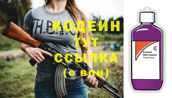 прущие грибы Вязьма